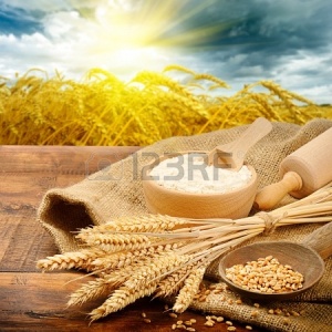17513249-organic-ingredients-for-bread-preparation-with-golden-sunrise-on-background