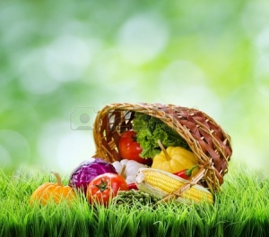 19152210-fresh-vegetables-in-the-basket-on-green-grass