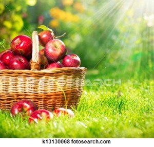 organic-apples-basket_~k13130068